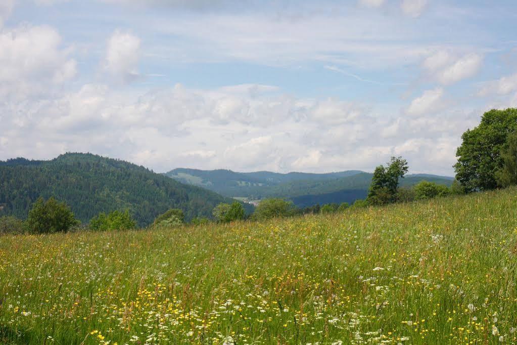 Parkhotel Waldlust Häusern Exteriör bild